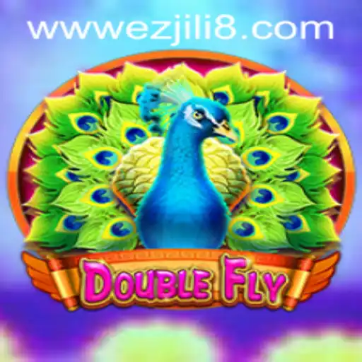 DoubleFly: A New World of Aerial Adventure